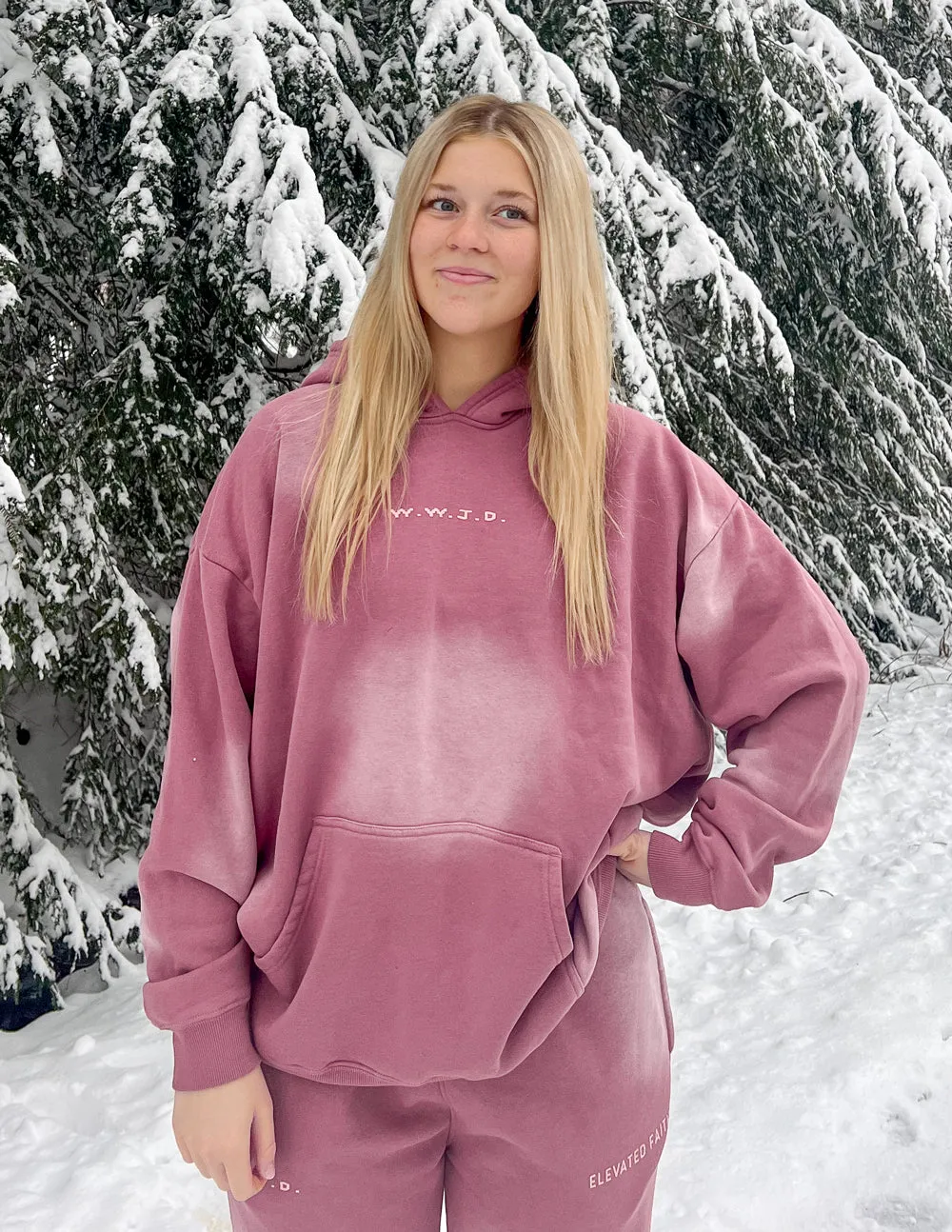 WWJD Pink Unisex Hoodie